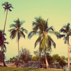 Morning Shore