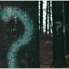 Like Me xXxLLagexXxJay Gunn