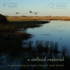 A Wetland Restored: Album Sample