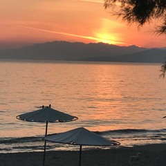 june 2017