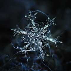 雪花