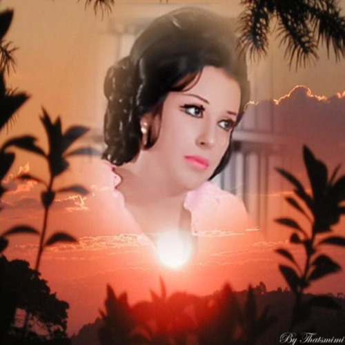 الطير المسافر نجاه