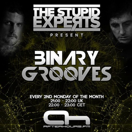 The Stupid Experts - Binary Grooves  - 003