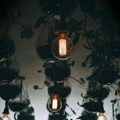 Anders Bothen – Wasted Education 2