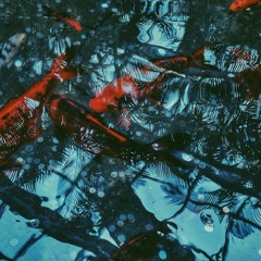 Jan Chmelar – Everytime I See You