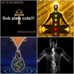 Fikir Amlak & King Alpha - Kundalini dub plate cuts