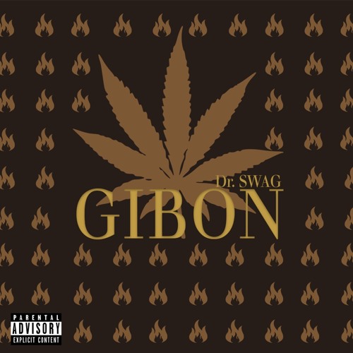 Dr. SWAG GIBON