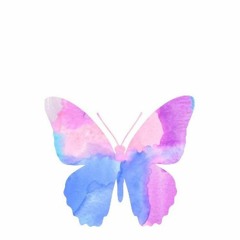 Butterfly | BTS Cover (Korean)