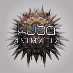 KUBA - Animalia Album Sampler