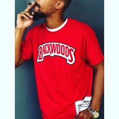 Flava In Ya Ear Remix