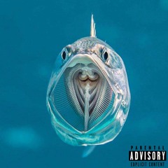 Sucka Doi (NYT ALBUM UDE NU)