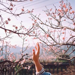Thoughts & Audio books