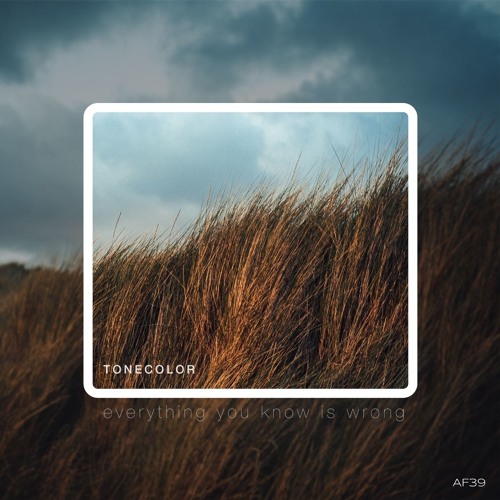 Tone Color - City of Three Rivers