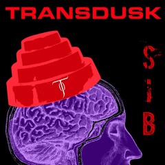 Transdusk - SIB (Swelling Itching Brain) [Devo Cover]