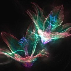 Dascon - Effort Reward Imbalance