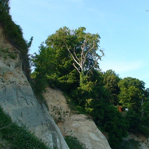 Only When I Lose Myself (classic quixotic)