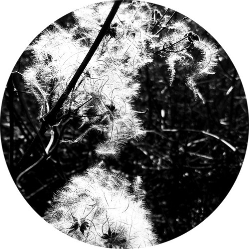 MNMT Premiere: Joachim Spieth – Annihilatio(Evigt Mörker rework)