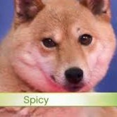 Turns out you can only have 500 tracks on a playlist so here's my new meme dump.