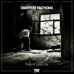 Disasters Emotional - Meaningless Life