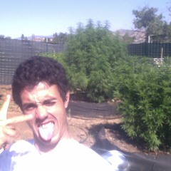 Um ano bom - Ross The Boss