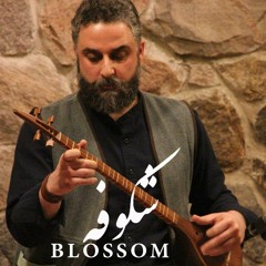 Blossom