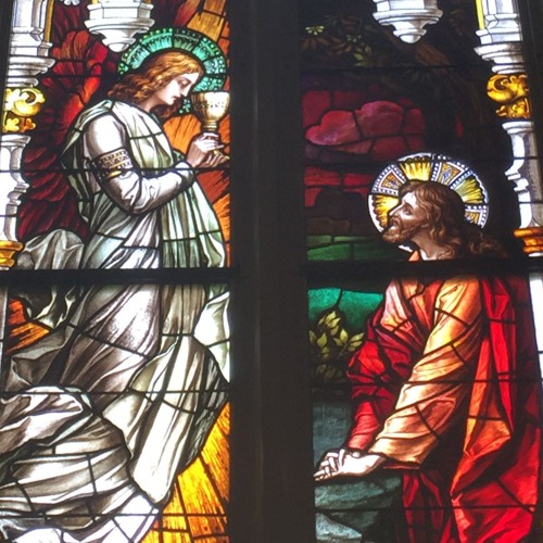 Stream Fr Michael Mcloughlin Passion Sunday Msgr George Thompson Palm