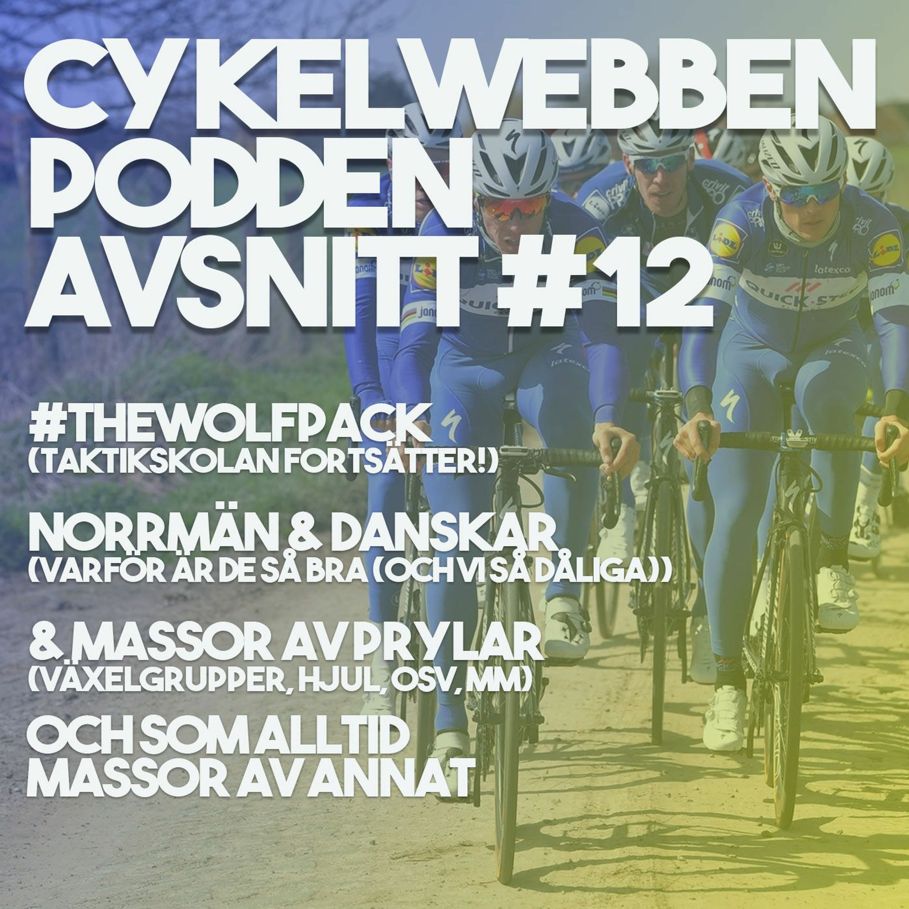 CykelwebbenPodden