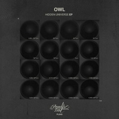 PL040 | OWL - HIDDEN UNIVERSE EP (OUT NOW)