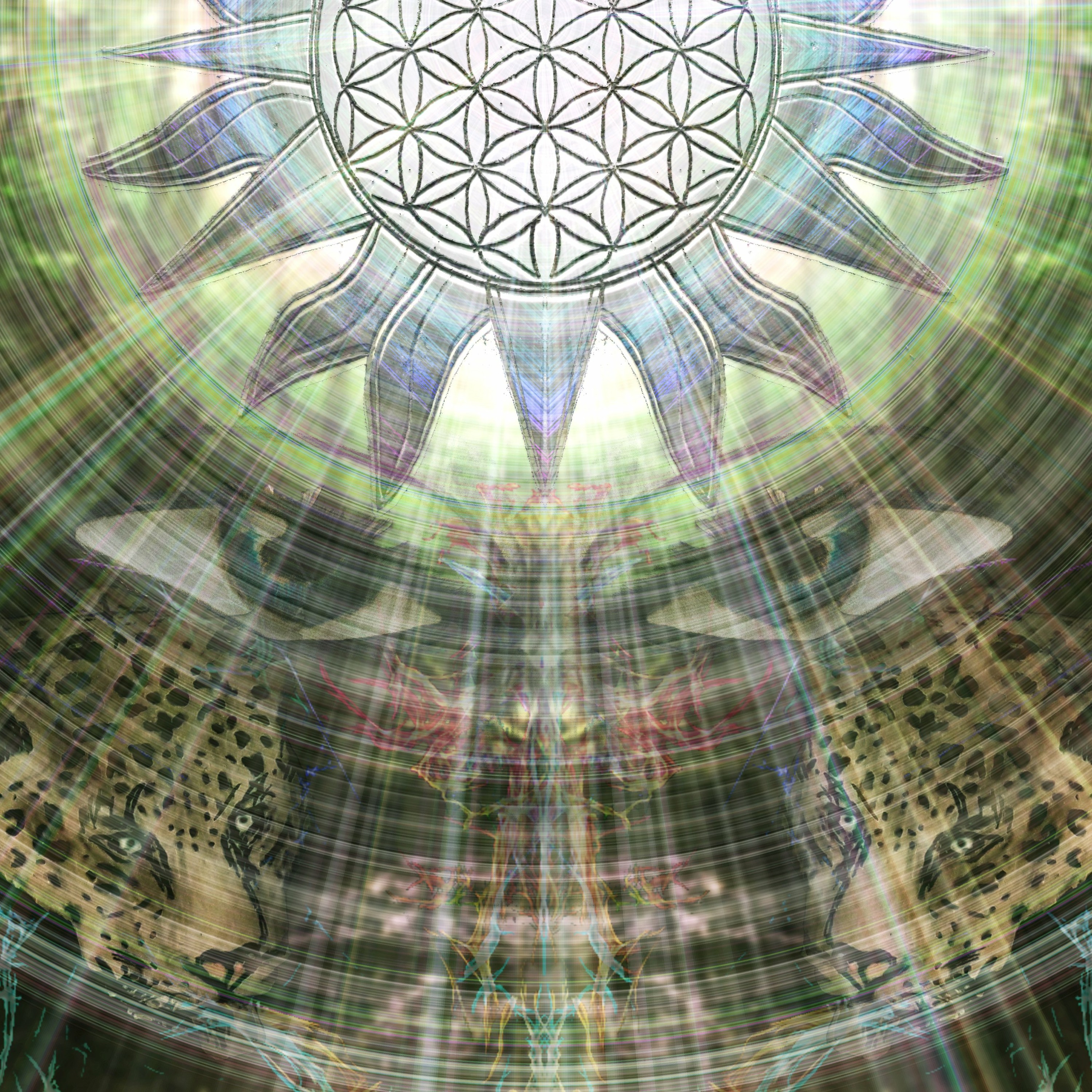 Dimensional Shift