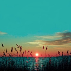 Blue Skies