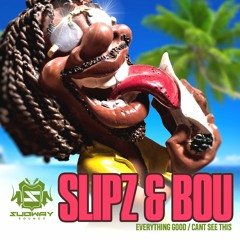 BOU & SLiPZ - CAN'T SEE THIS