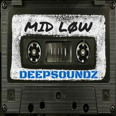 Deepsoundz #119  //MID LØW//