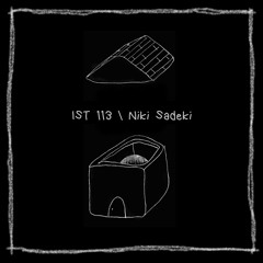 IST 113\Niki Sadeki