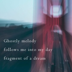 fragments (Naviarhaiku222)