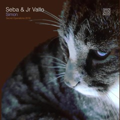 Seba & Jr Vallo - Simon
