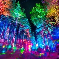 MWM "That was one Hell of a Week" Electric Forest Festival part 3 "Music has no limits, it only has love."