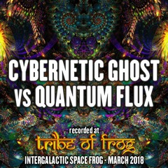 Cybernetic Ghost vs Quantum Flux - Recorded at Tribe of Frog March 2018