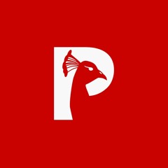 Jingle Pandatara 2017
