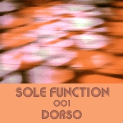 Sole Function 001