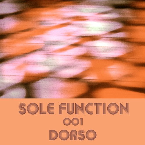 Sole Function 001