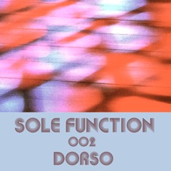Sole Function 002