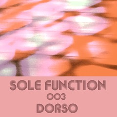 Sole Function 003