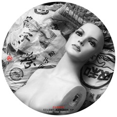 Cleric - Silent Kingdom (VSK Remix) (Soma 518)