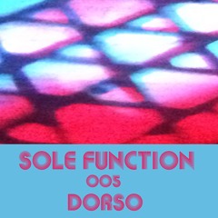 Sole Function 005