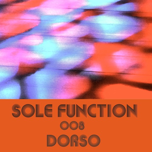 Sole Function 008