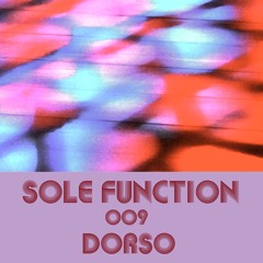 Sole Function 009