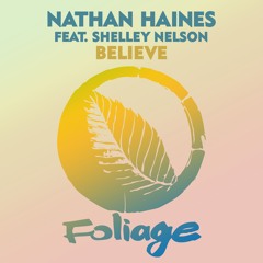 Nathan Haines feat. Shelley Nelson- Believe (The Layabouts Vocal Mix)