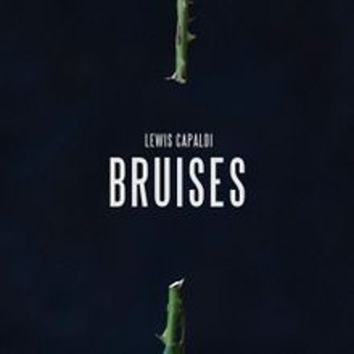 Lewis Capaldi - Bruises (Felix Wehden Bootleg)