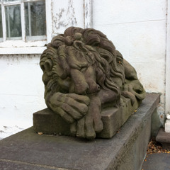 늦은 겨울 진달래