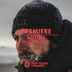 Premiere: Molécule - ÂRIÂ (The Populists Remix)